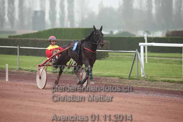 ET0Q0014 prot